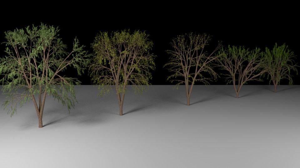 5 Trees preview image 2